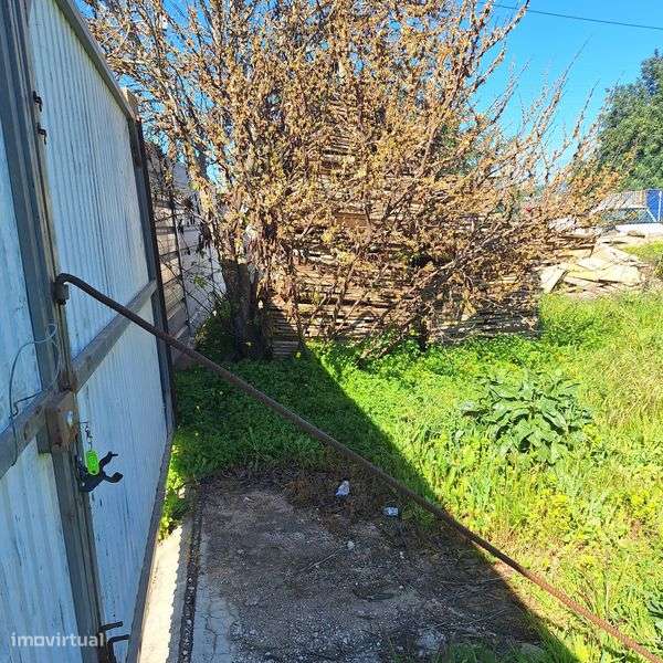 Aluguer de Terreno - Cerro do Ouro - Grande imagem: 4/7