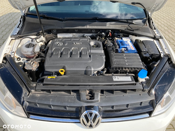 Volkswagen Golf VII 1.6 TDI BMT Start - 10