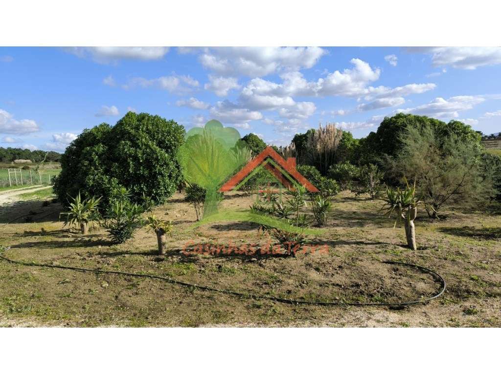 Terreno rústico com vista de mar e casa-28