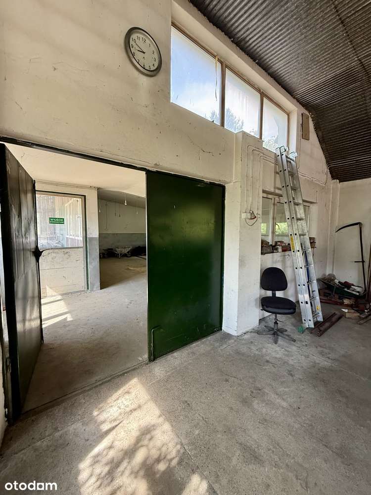 Na sprzedaż: budynek pod działalność gospodarczą – przy trasie S17 - Pełny obrazek: 4/20