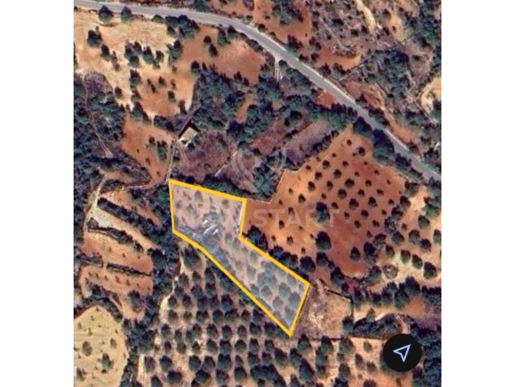 Terreno Misto em Boliqueime - Grande imagem: 5/23