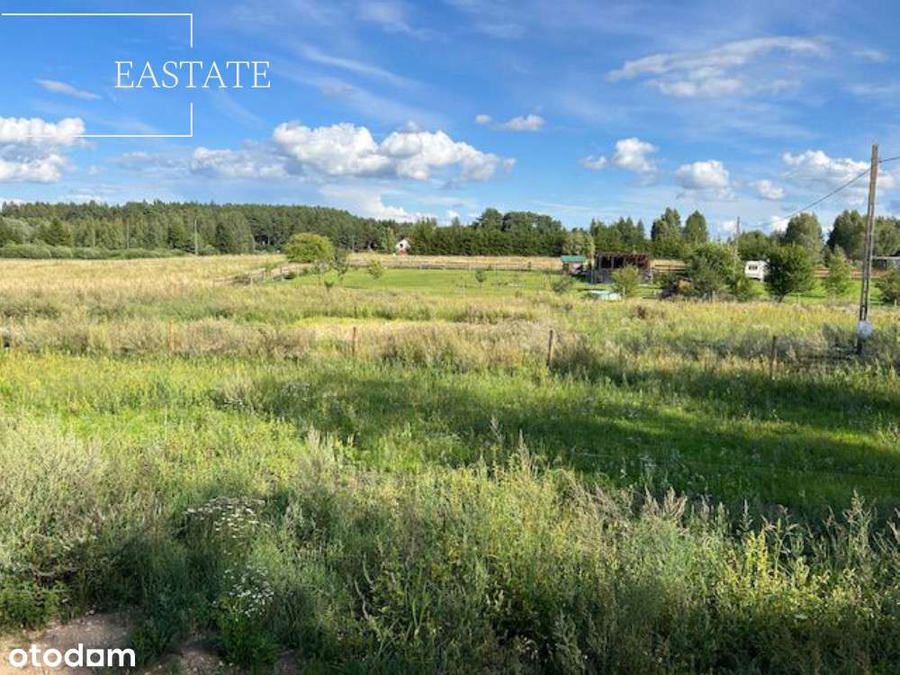 Działka rekreacyjna z projektem domu/blisko plaży - Pełny obrazek: 3/11