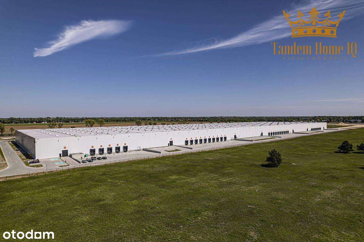 Magazyn 1000m2 do wynajęcia w parku logistycznym - Warszawa - S7 Gdańs - Pełny obrazek: 4/7