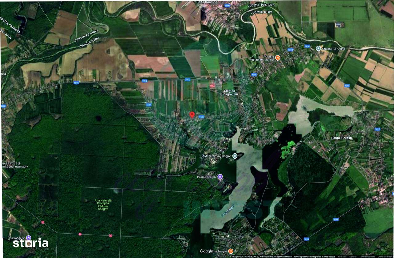 Teren 16534 mp pentru dezvoltare rezidențială, Siliștea Snagovului - Imagine principală: 4/7