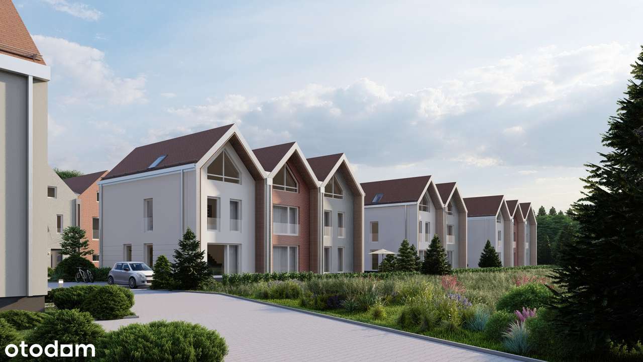 Zielona Wilga - Pełny obrazek: 5/13