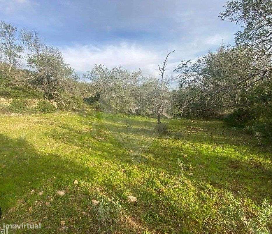 Terreno  para venda - Grande imagem: 3/4