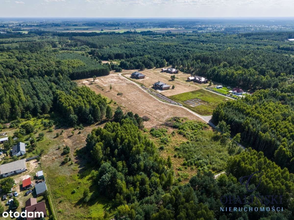 Otoczenie lasu | Cicha okolica | Mpzp | Inwestycja-11