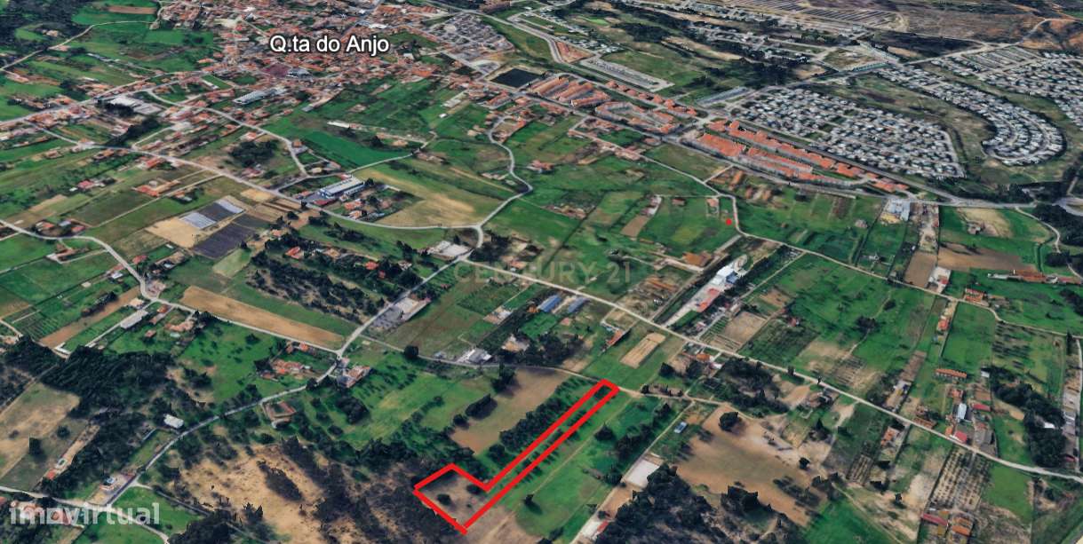 Quinta do Anjo - Terreno Rústico com 10 000m2 - Grande imagem: 2/6