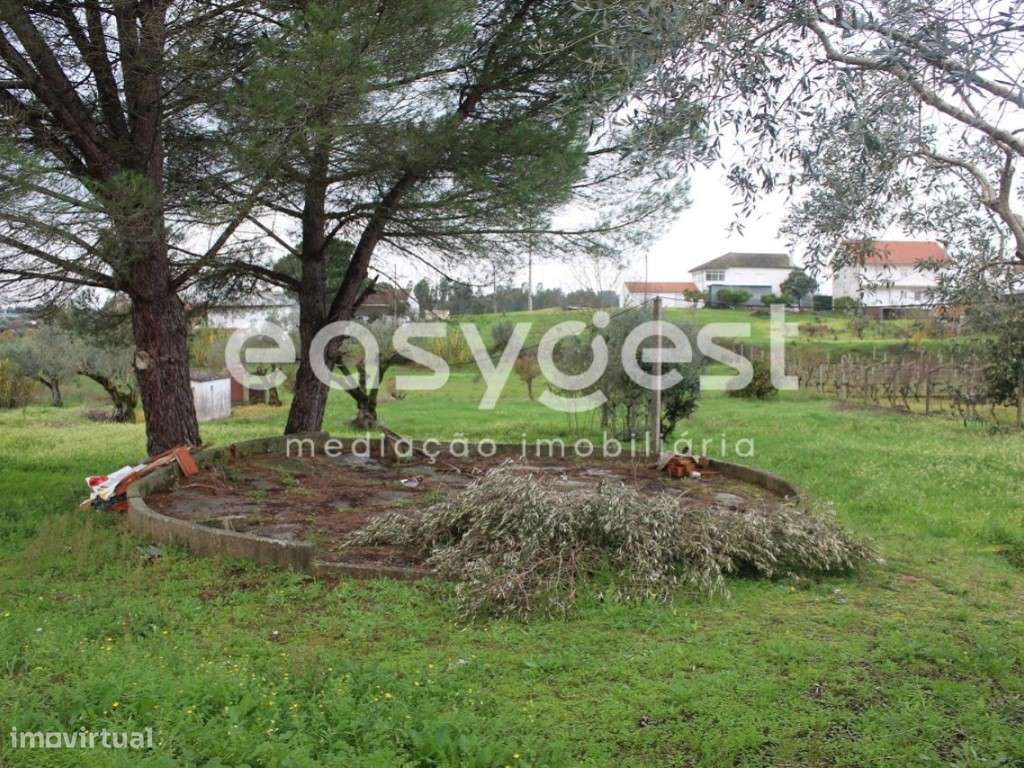 Moradia T3 Térrea, inserida num terreno com mais de 6 000 m2 - Grande imagem: 5/17