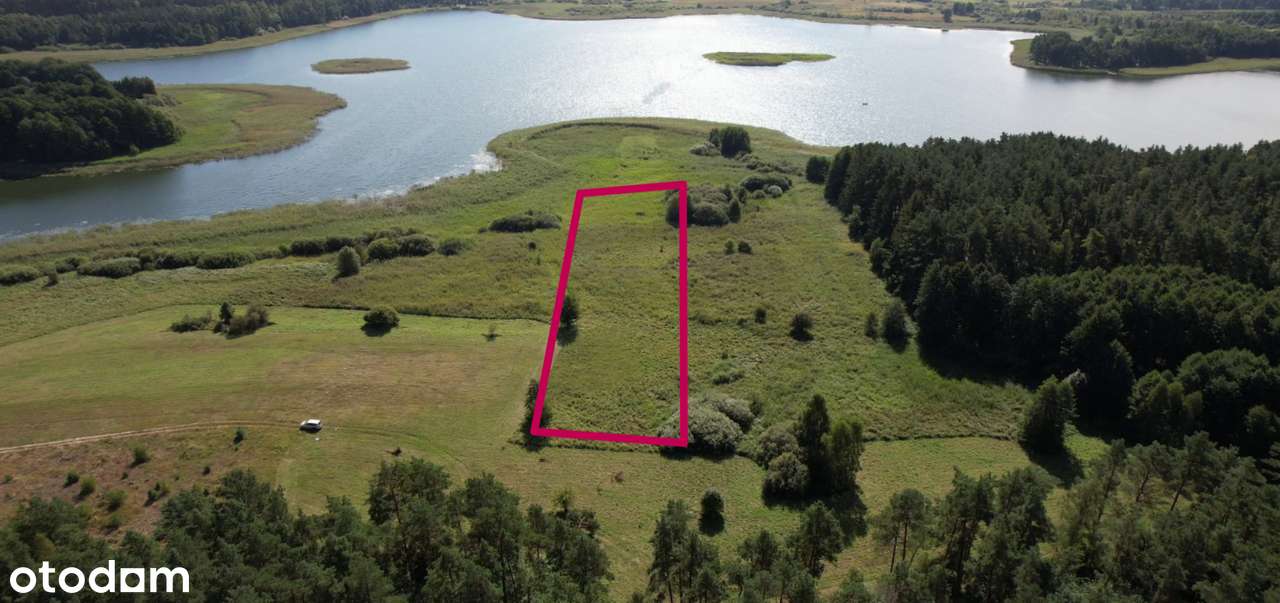 Działka z linią brzegową jeziora Gwieździn - Pełny obrazek: 4/8