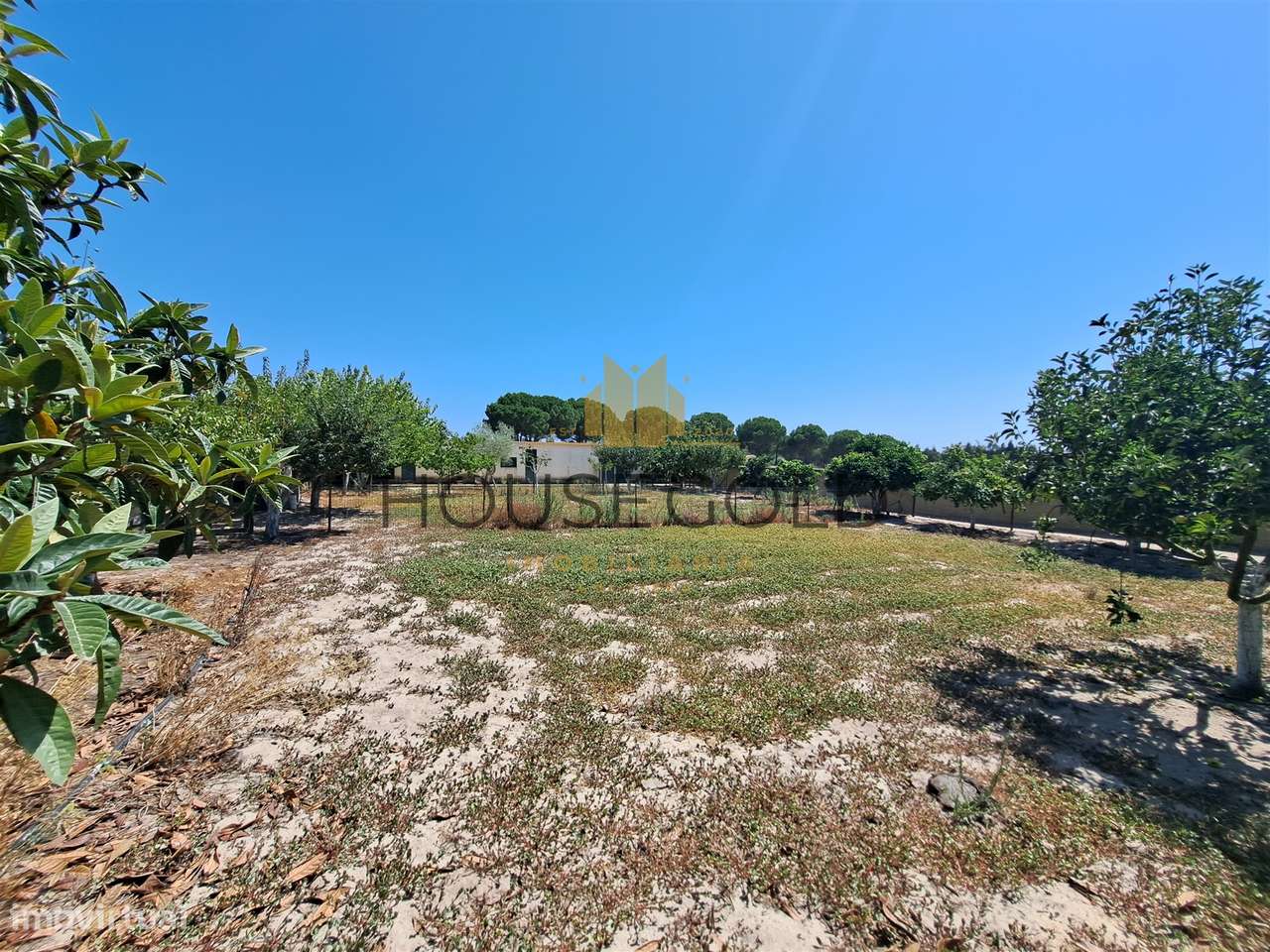 Moradia T3 em Marinhais (MR-227)-51