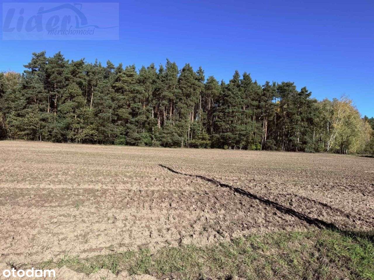 Działka, 2 099 m², Mrożewice-3