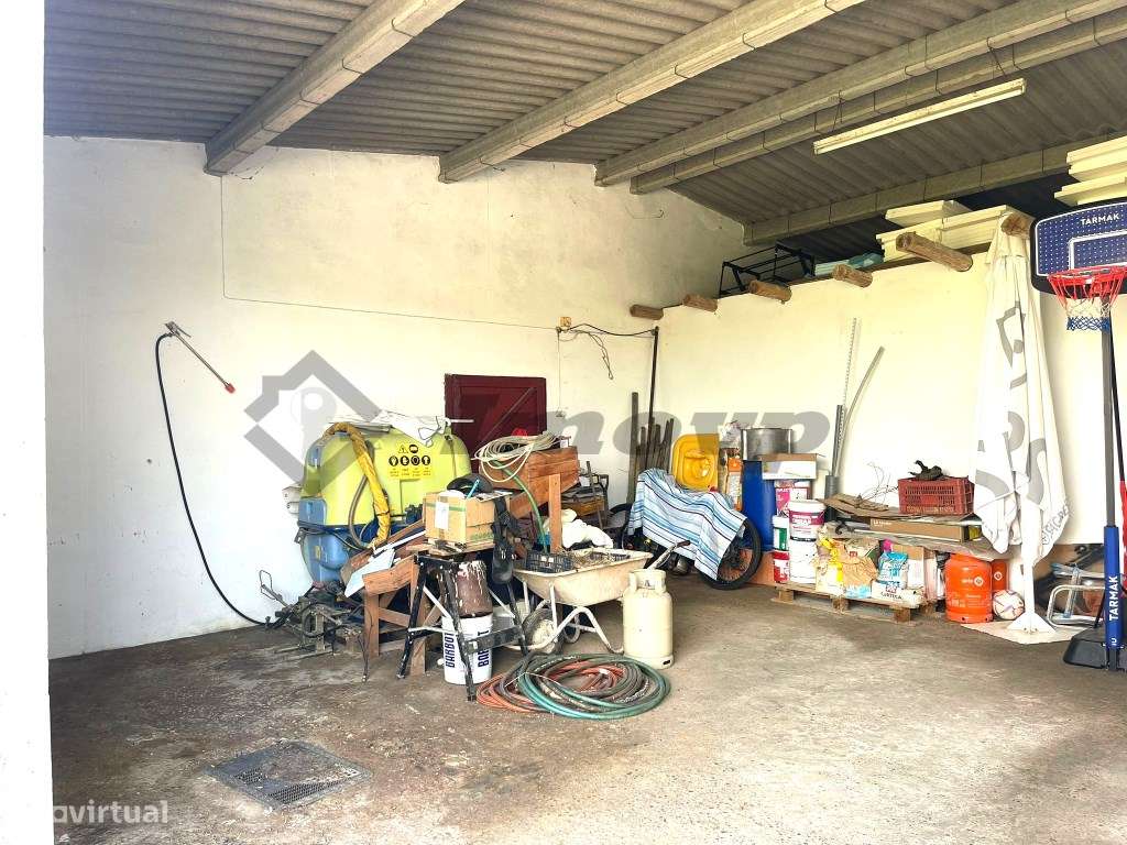 Quinta localizada a 1,5Km da Vidigueira-23