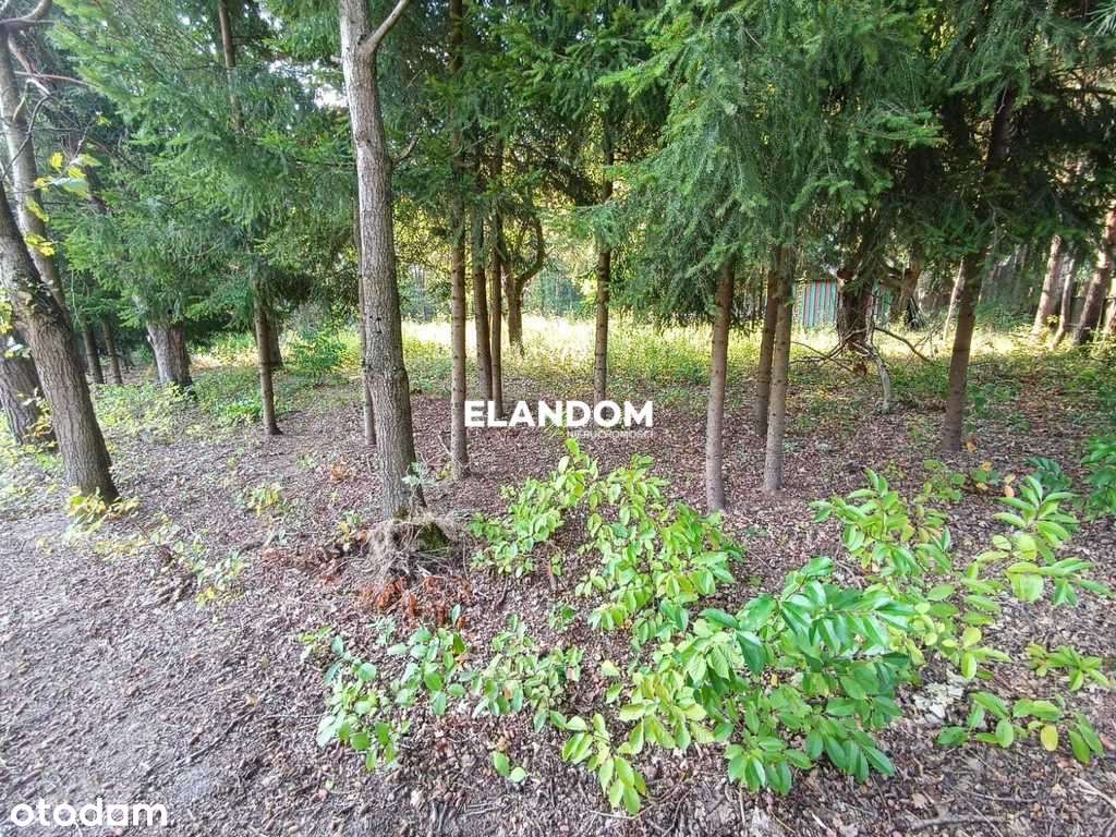 Działka rolno budowlana, Lipowo, WZ wyrabiane - Pełny obrazek: 4/4