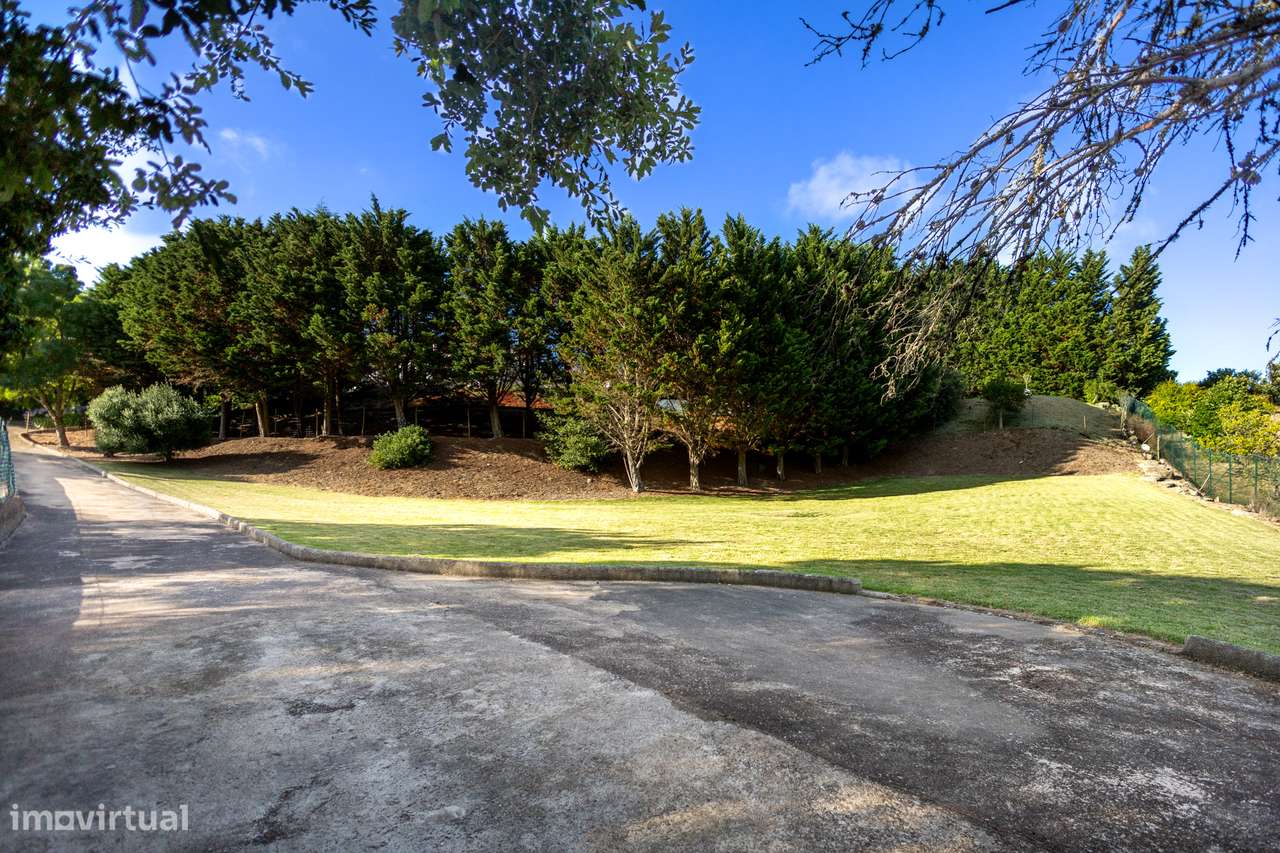 Timeless Elegance  - Sintra-54