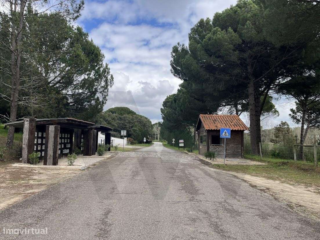 Exclusividade e Natureza: Terreno de Prestígio na Mata do Duque II - S - Grande imagem: 3/20