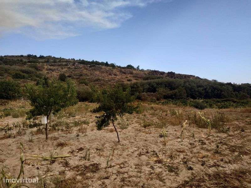 Terreno agrícola em activo. - Grande imagem: 5/12