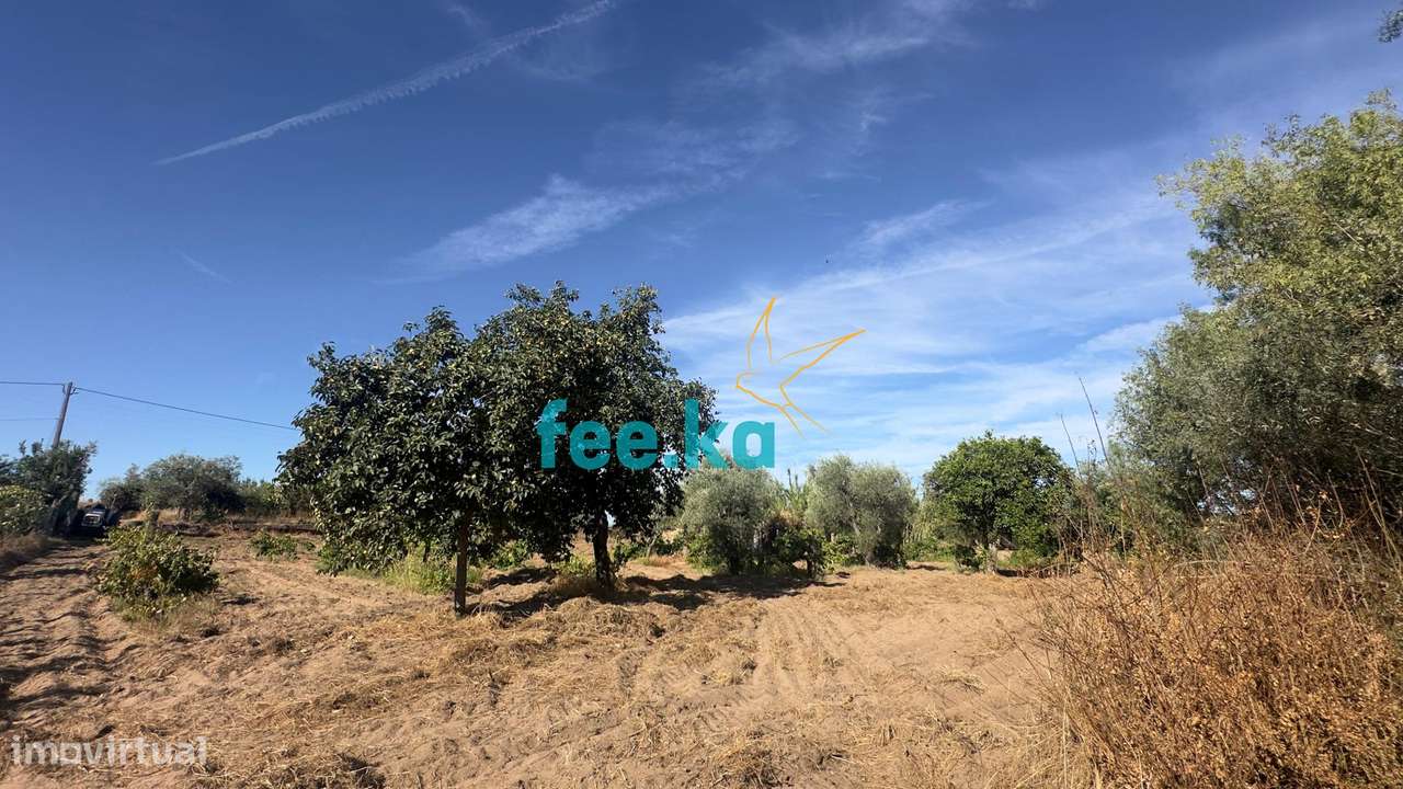 Terreno em Ladoeiro-33