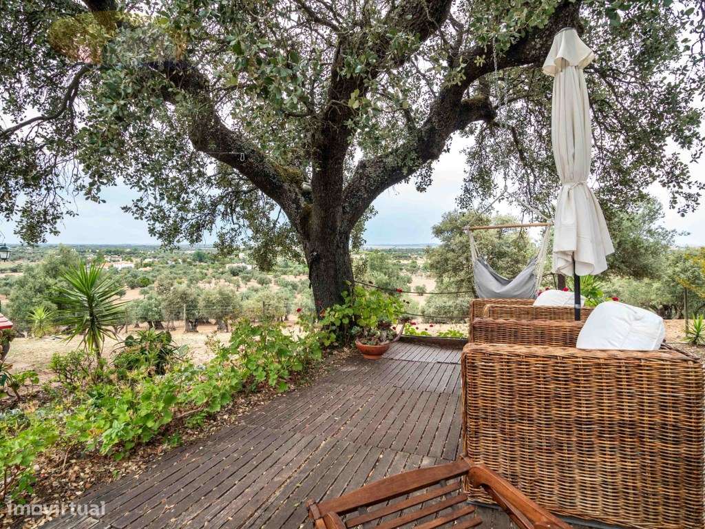 Quinta com 16 ha, com 4 Moradias Unifamiliares, piscina e várias ár...-55