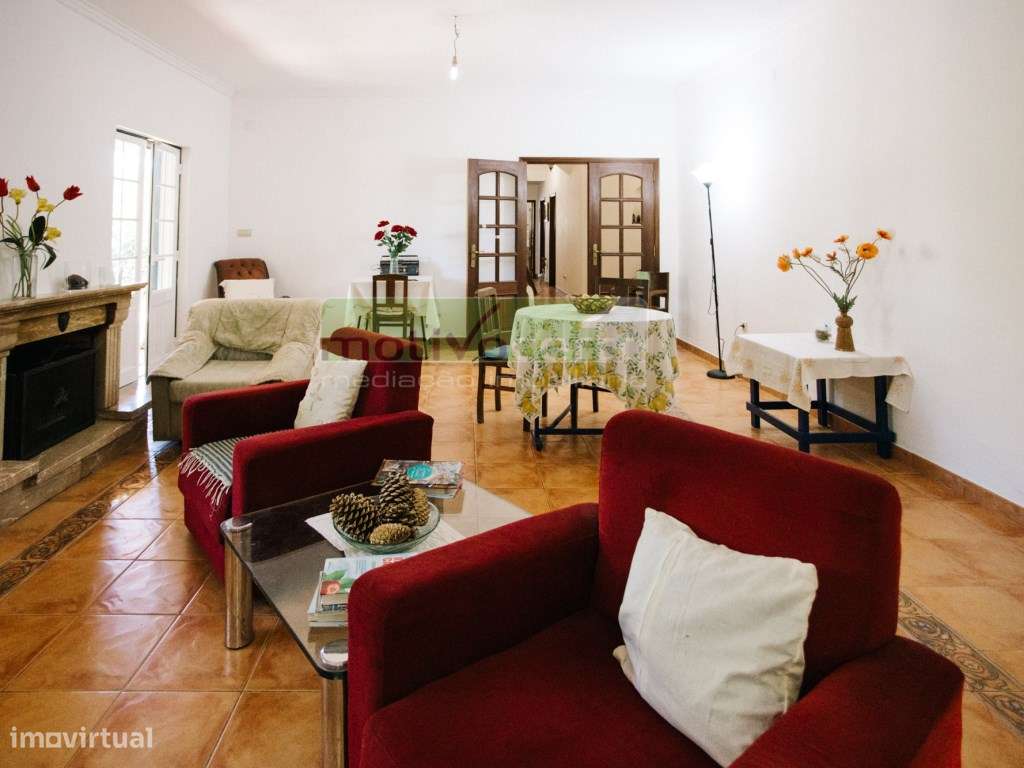 Moradia Térrea T4 em Quinta de 11.250 m² com Árvores de Fruto. Em S...-7