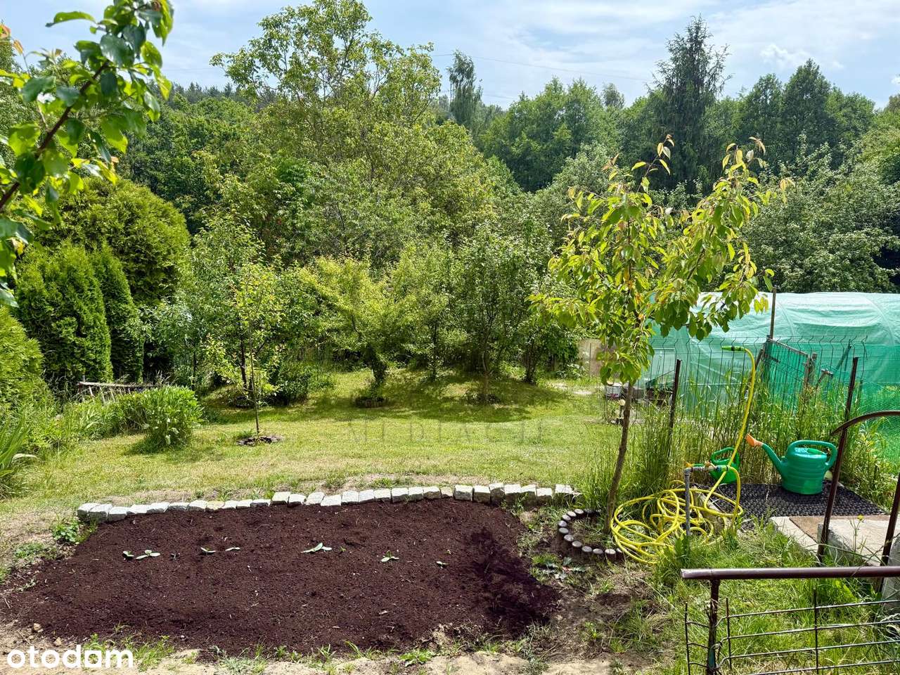 Działka ROD Zielony z domkiem, zadbana-4