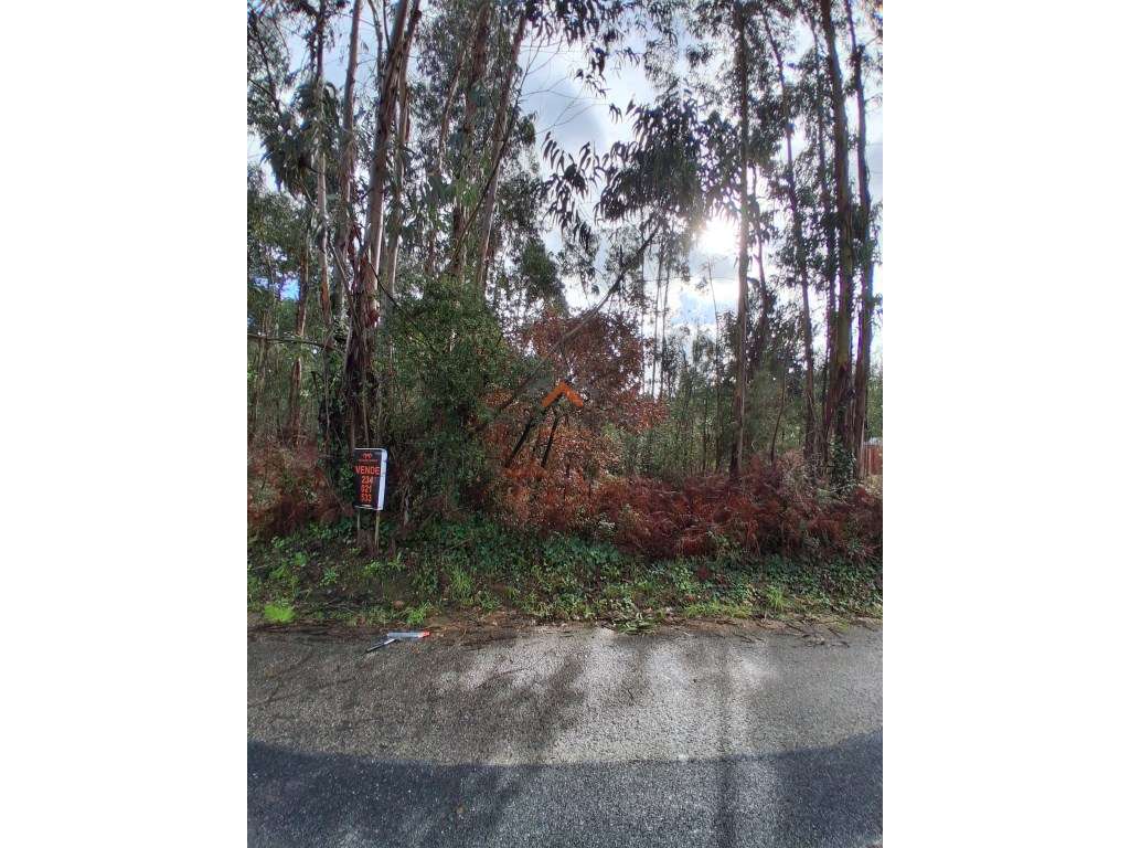 Terreno Urbano | 630m2 | Sangalhos - Grande imagem: 5/5