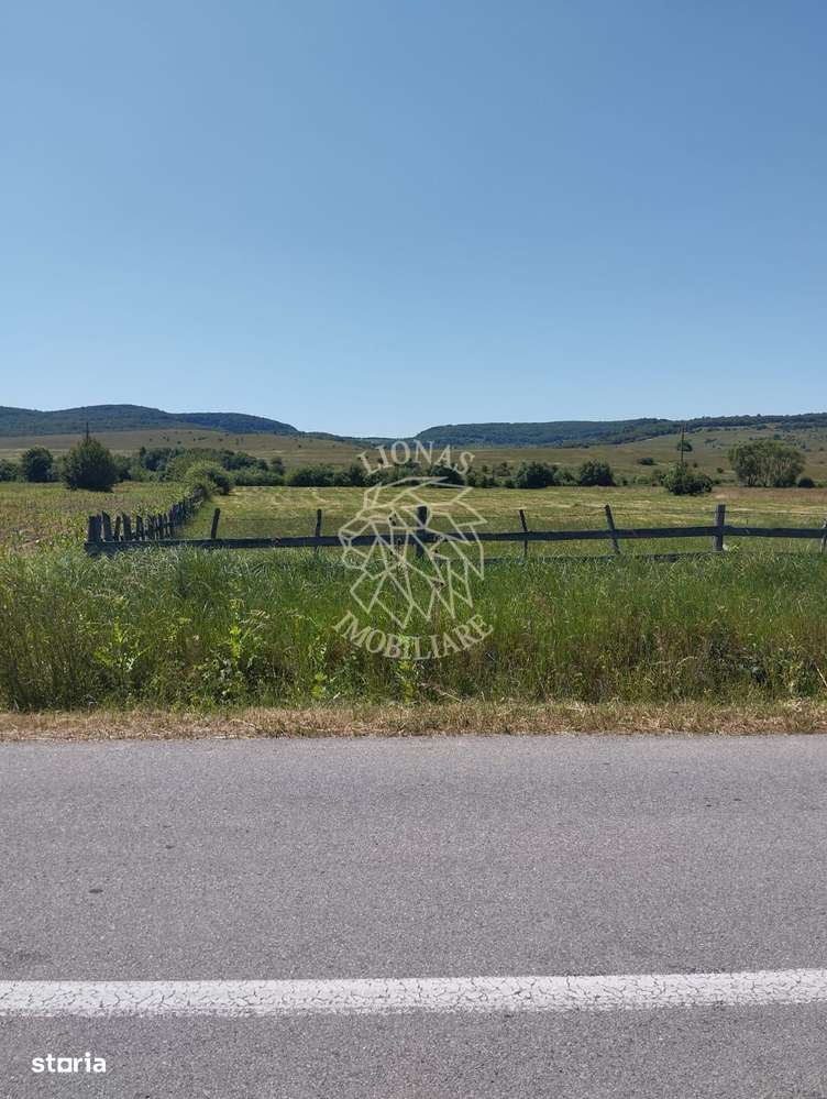 Teren 700 mp cu utilitati-panoramic-Livezile - Imagine principală: 1/4