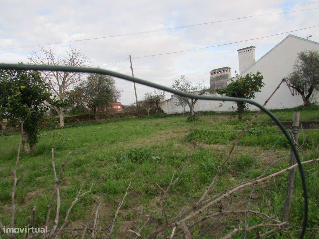 Terreno com 1600m2 com viabilidade de construção - Grande imagem: 3/12