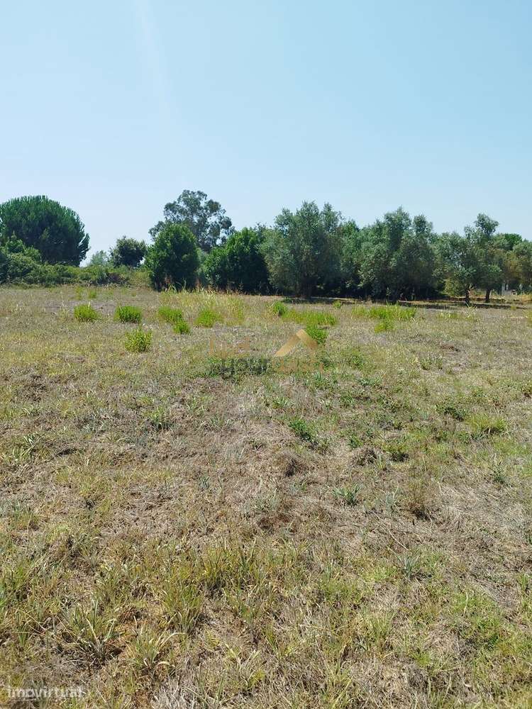 Terreno Urbano com 2.608m² em Moleanos-6