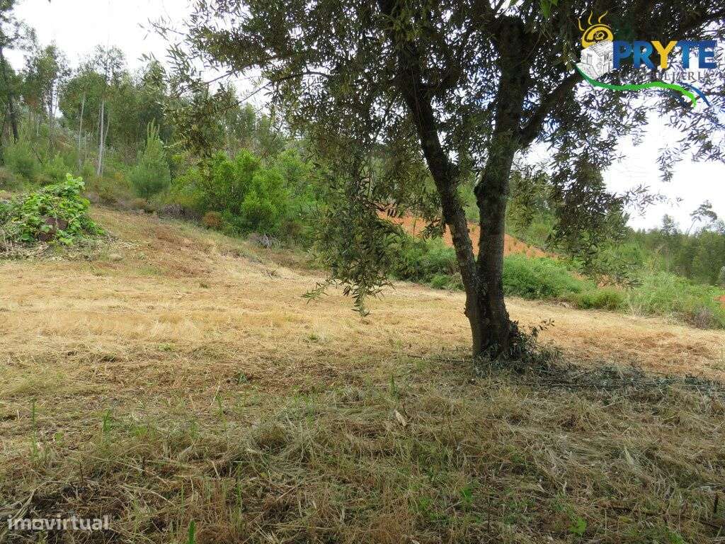 Pequena quinta a confinar com a Ribeira situada perto de Oleiros-29
