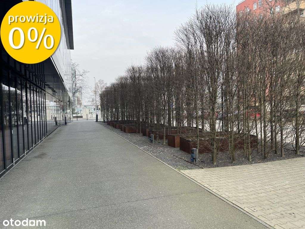 Powierzchnie biurowe przy Grunwaldzkiej 182- 716m2 - Pełny obrazek: 5/16