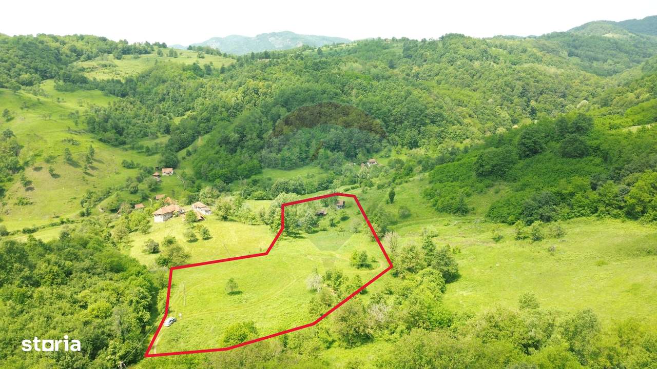 Teren intravilan de vis în Munții Apuseni, curent + izvor – 13.811 mp - Imagine principală: 3/18