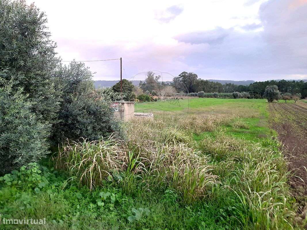 Terreno  para venda - Grande imagem: 2/4