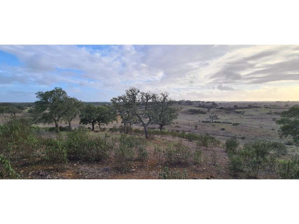 Terreno Rústico - Grande imagem: 5/12