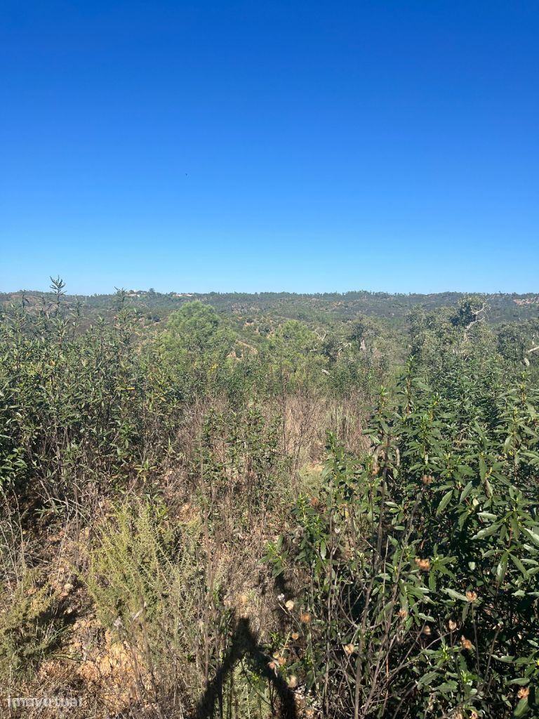 Vende-se Terreno Cortelha, LOULÉ - Grande imagem: 3/3