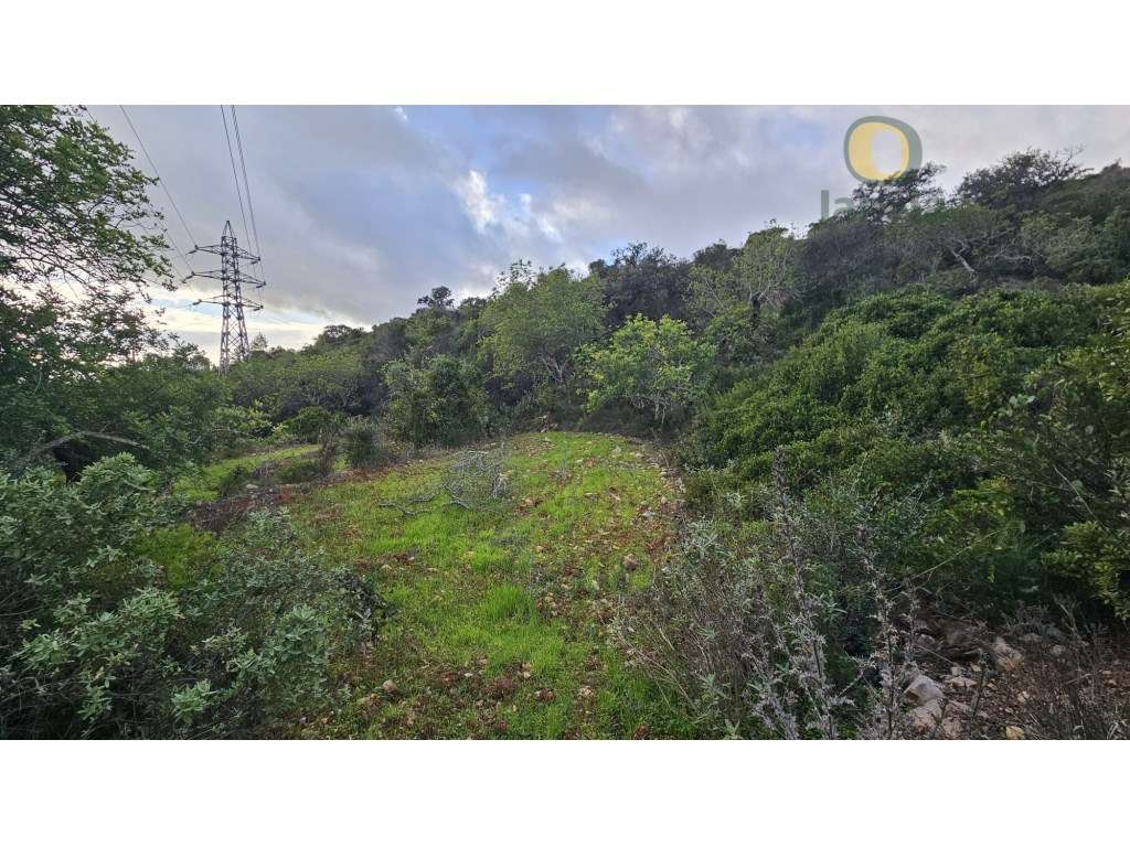 Terreno Rústico em Estoi com Poço-11