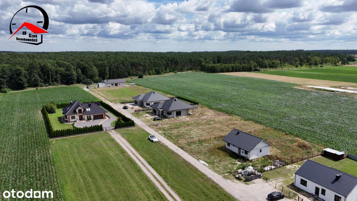 Przy Lesie, na uboczu drogi. Woda,  prąd, Wz! - Pełny obrazek: 4/11