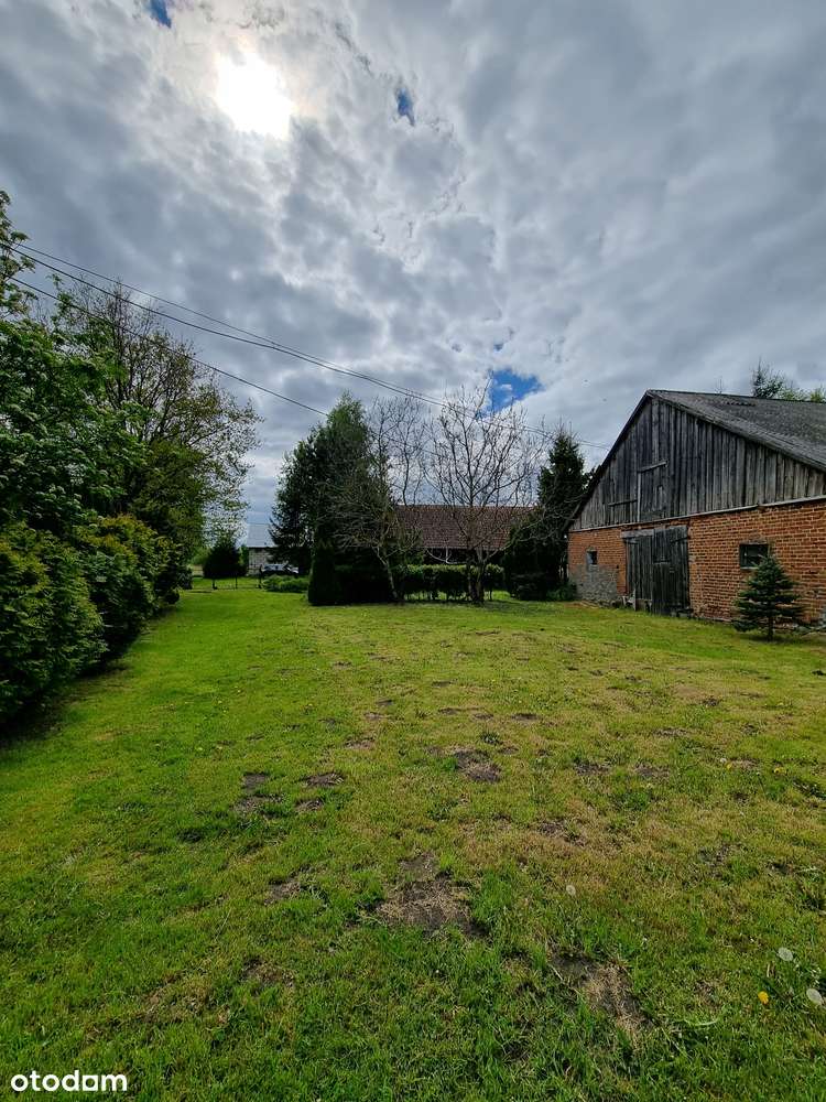 Działka, 79 000 m², Henrykowo-7