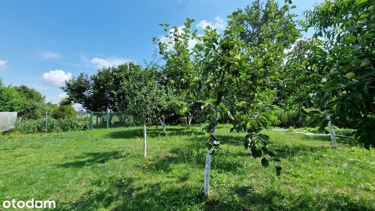 DOM JEDNORODZINNY Z DUŻĄ DZIAŁKĄ I STAWEM – MAŁYSZYN, GM. WIELUŃ-14