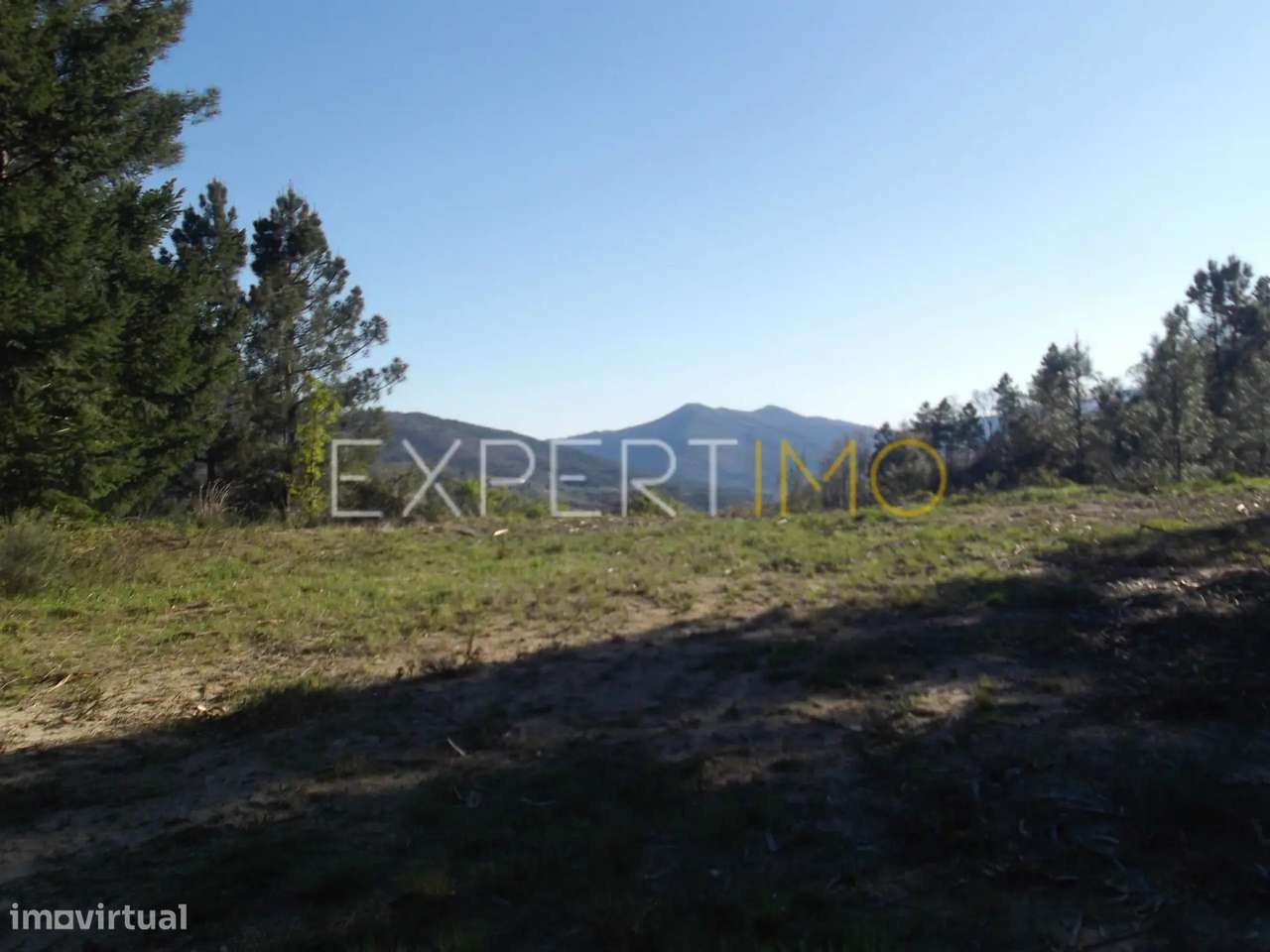 Quinta serra da estrela, terreno junto ao núcleo urbano - Grande imagem: 5/44