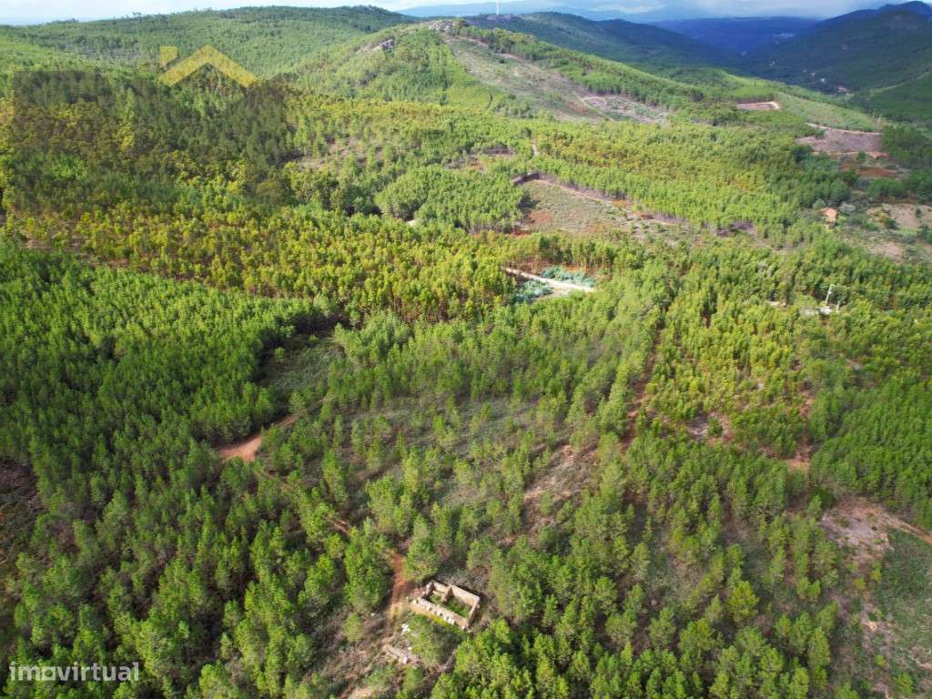 2 Terrenos rústicos com um total de 6400m2 de fácil acesso - Grande imagem: 3/4