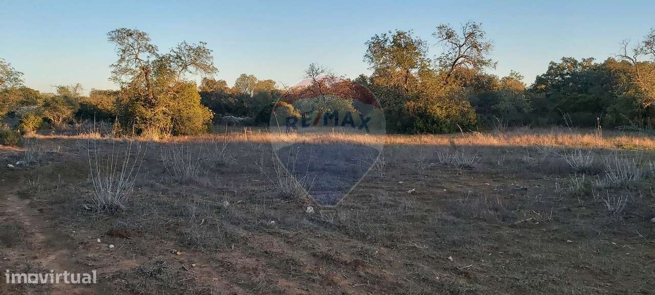 Terreno  para venda - Grande imagem: 4/7