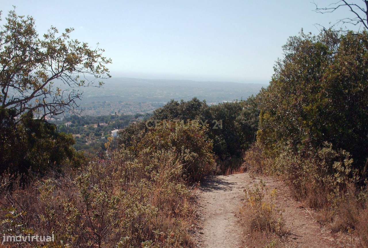 Terreno vista mar - Grande imagem: 5/9