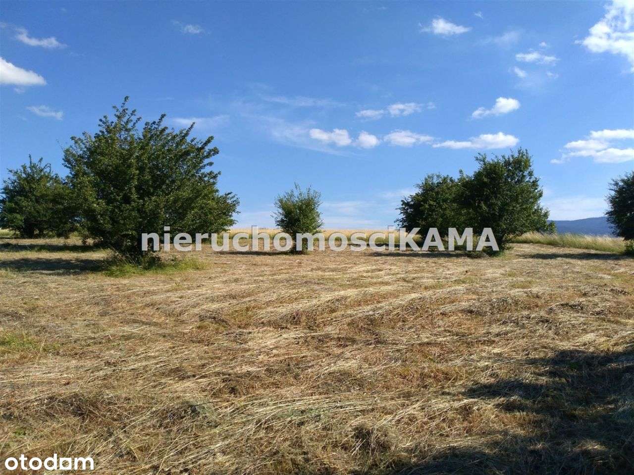 Działka, 5 741 m², Bielsko-Biała - Pełny obrazek: 4/4