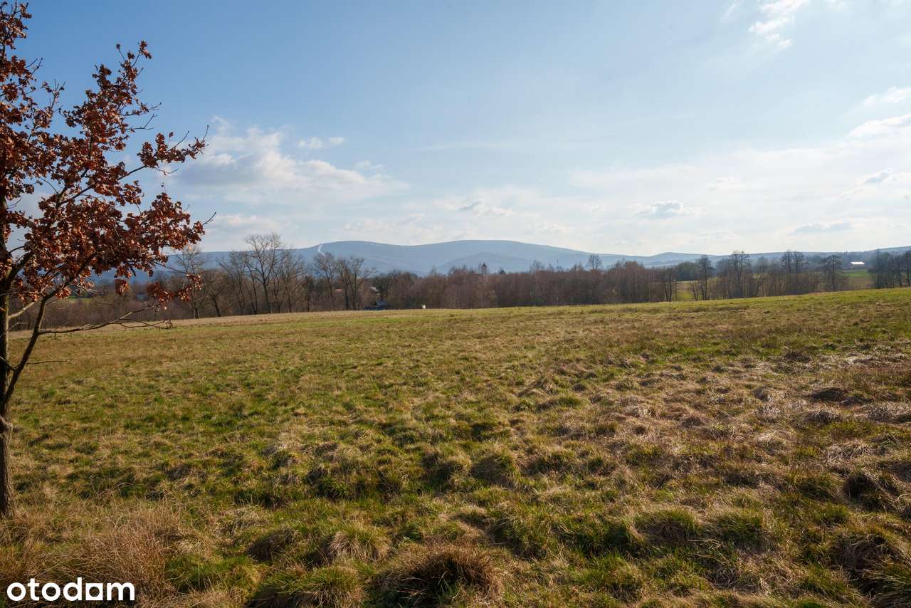 Wolimierz – działka budowlano-usługowa z widokiem na Stóg Izerski - Pełny obrazek: 4/8