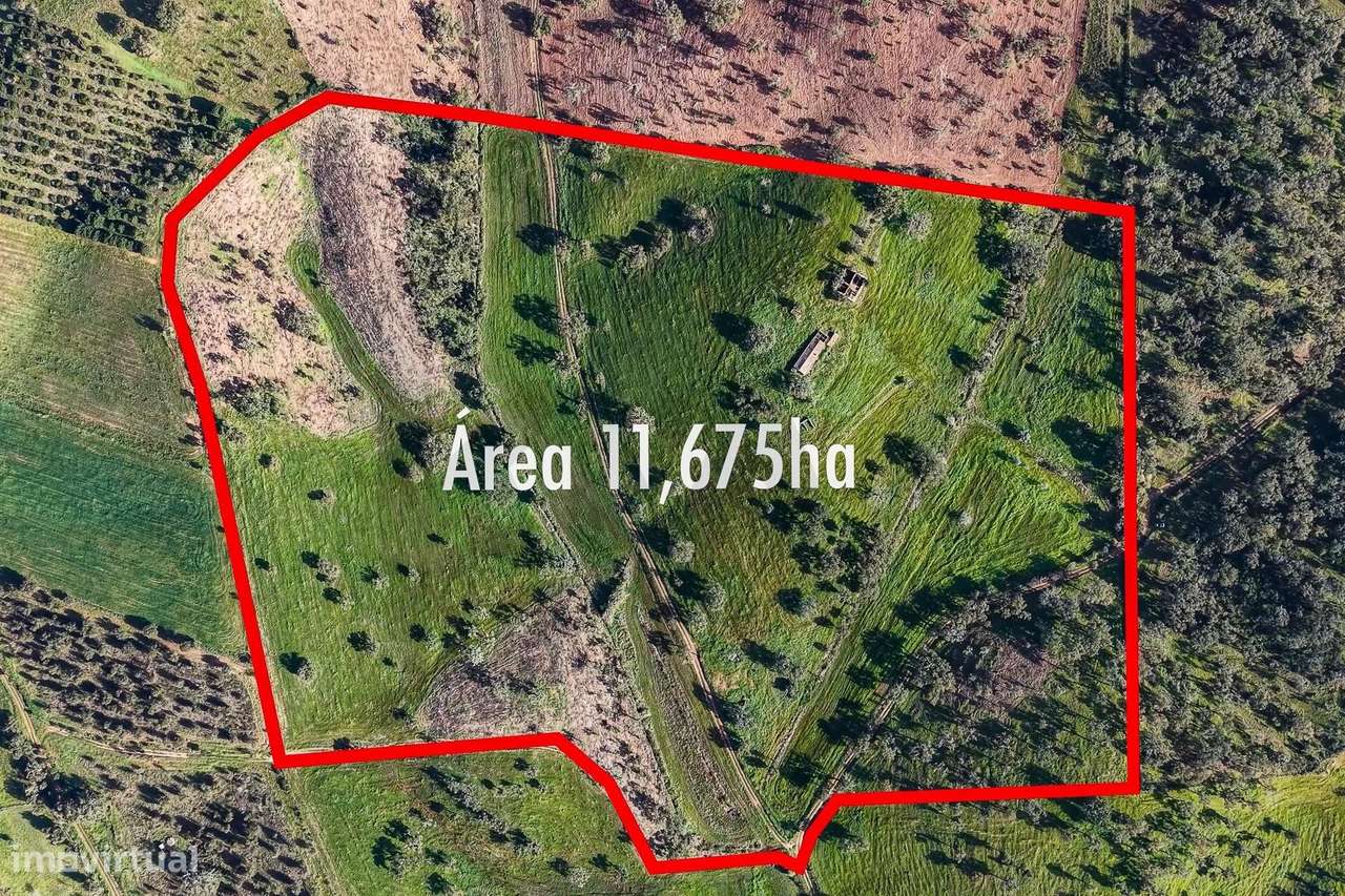 MONTE FERRENHO | PIP INFORMADO | Cercal do Alentejo | Santiago do Cacé - Grande imagem: 3/50