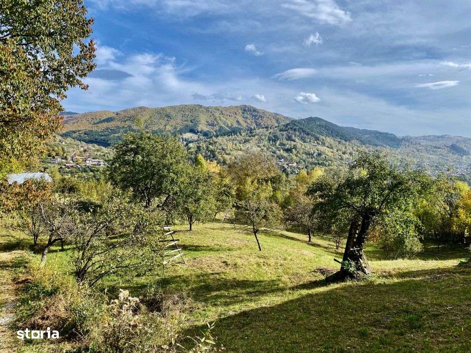 Teren retras panoramic Valea Doftanei 1350 mp panta lina, cu utilitati-1