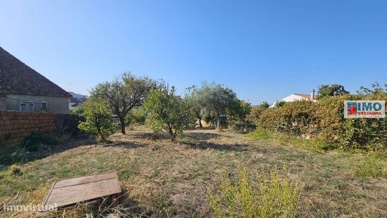 Moradia V6 c/ Quintal - Maxiais - 10 min de Castelo Branco-30