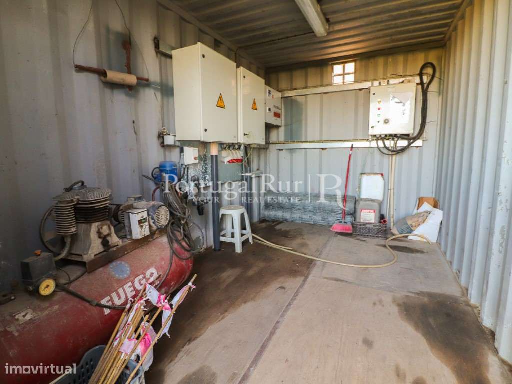 Herdade de 60 hectares para criação bovina e equina perto de Lisboa-50