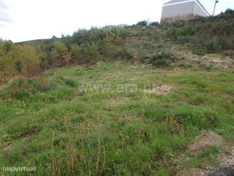 Terreno Rústico / Seia, Santa Marinha e São Martinho - Grande imagem: 3/10